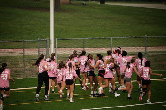 PowderPuff-13