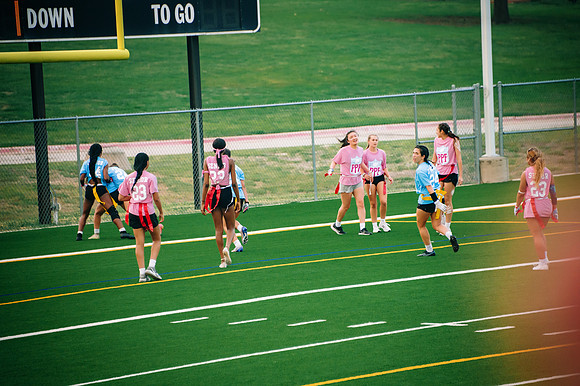 PowderPuff-113
