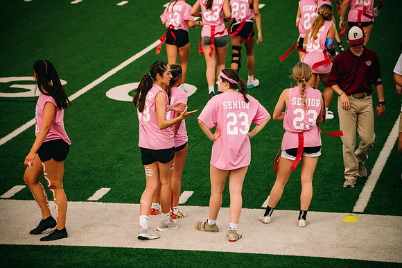 PowderPuff-50