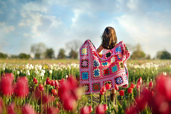 Texas Tulips 41-1