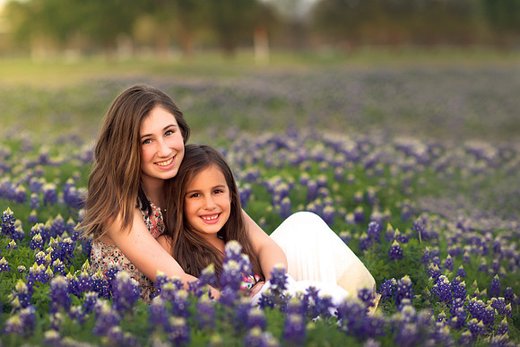 Bluebonnets 290