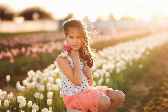 Texas Tulips 156